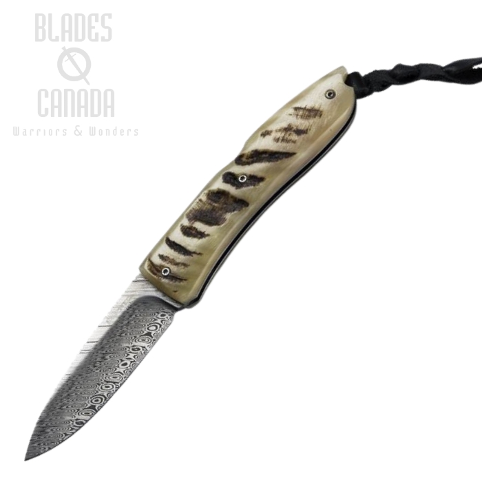 Lion Steel MN Opera Folding Knife, Damascus, Horn Handle, 8800D MN